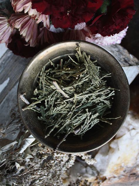 Ritual Herbs Cedar Rite Of Ritual