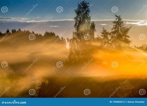 Misty Foggy Sunrise In Summer Amazing Scenic Landscape Stock Image