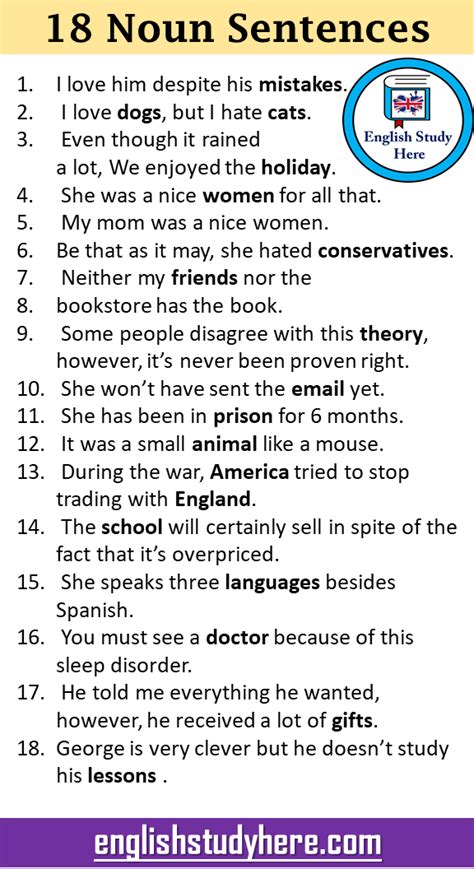 20 Examples Of Noun Sentences In English Onlymyenglis Vrogue Co