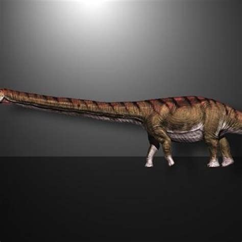 Largest Creature Ever To Exist On Earth The Earth Images Revimageorg