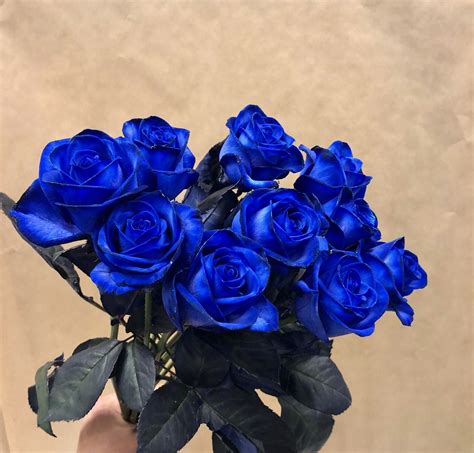 10 Blue Roses Ten Real Blue Roses Send 10 Blue Roses