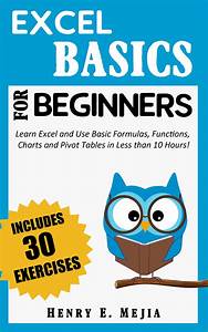 Buy Excel Basics For Beginners Learn Excel And Use Basic Formulas