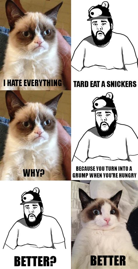 He Was Just Hungry All Along Funny Grumpy Cat Memes Grumpy Cat