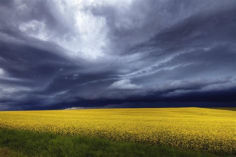 Prairie Storm Photograph By David Buhler Fine Art America