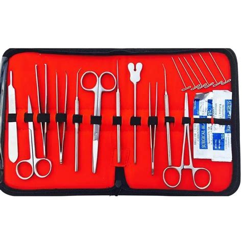 Prof Quality Surgical Dental Instruments Anatomy Set Medical Basic