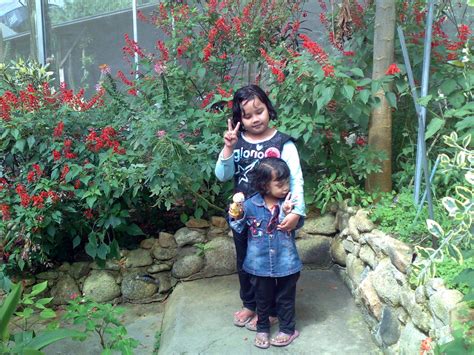 Malaysia long term rentals malaysia monthly rentals of apartments and houses extended stays, sublets, winter lets and annual furnished or unfurnished lettings. Inflatables bouncing castle Malaysia Rental: Taman Rama ...