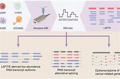 Breakthrough In Transcription Allegis Review For Transcripts That Shine