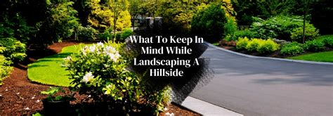 The Best Hillside Landscaping Ideas For Low Maintenance Yards