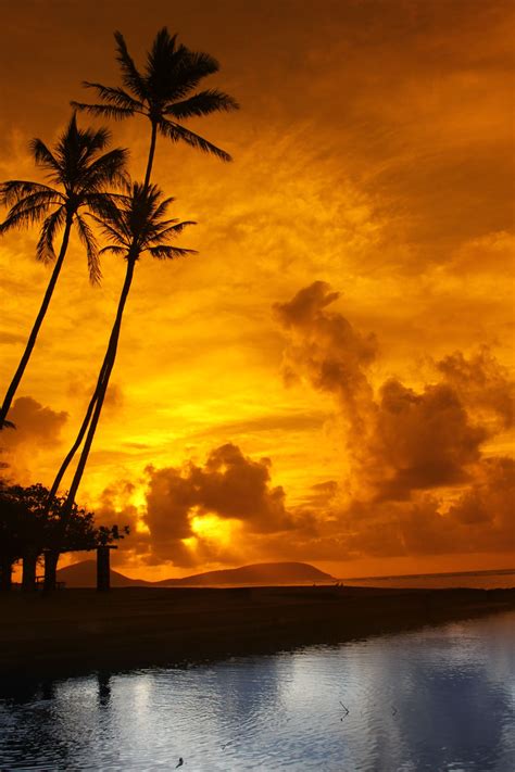 One Of The Beautiful Moments About Living In Hawaii Sunrise At