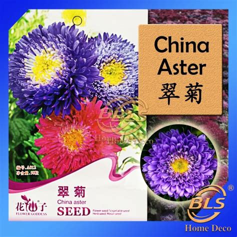 Expired Biji Benih A012 China Aster Flower Goddess Vegetable Flower