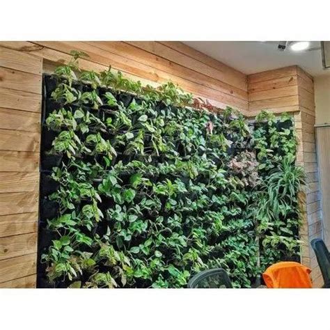 Artificial Vertical Green Wall Designing Service Local Coverage Area