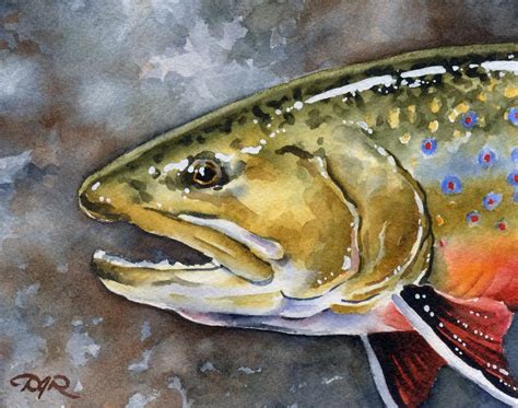 Fly Fishing Brook Trout Watercolor 8 X 10 Art Print By Artist Dj