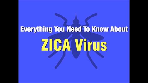 Zika Virus Everything You Need To Know Youtube