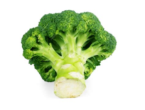 Premium Photo Fresh Green Broccoli On White Background