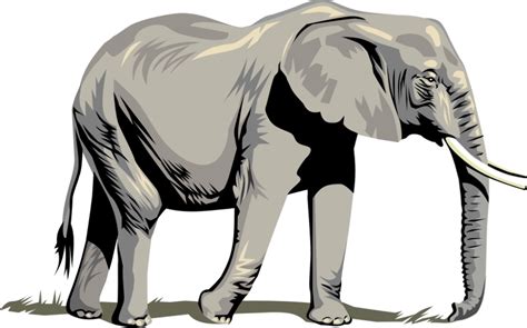 Download High Quality Elephant Clipart Realistic Transparent Png Images