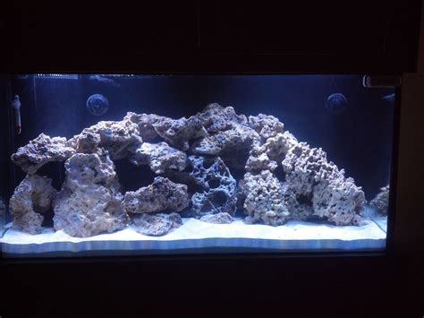 Reef Aquascape With Caves Man Cave Come Marine Fish Room With My Reef