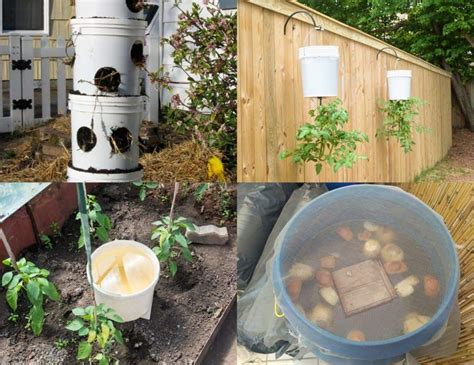 50 Brilliant Uses For A 5 Gallon Bucket 5 Gallon Buckets Bucket