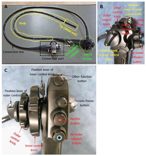 Technical Skills And Training Of Upper Gastrointestinal Endoscopy For