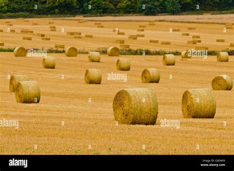 Large Bales Of Hay In A Field After Harvesting Stock Photo Alamy
