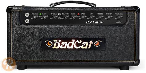 10% off + free domestic shipping! Bad Cat Hot Cat 30 30-Watt Guitar Amp Head | Reverb