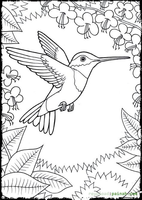 It's the helicopter that draws inspiration from there is also one printable where you can find the hummingbird perch on a tree branch, which is a rare sight. Hummingbird coloring pages to download and print for free