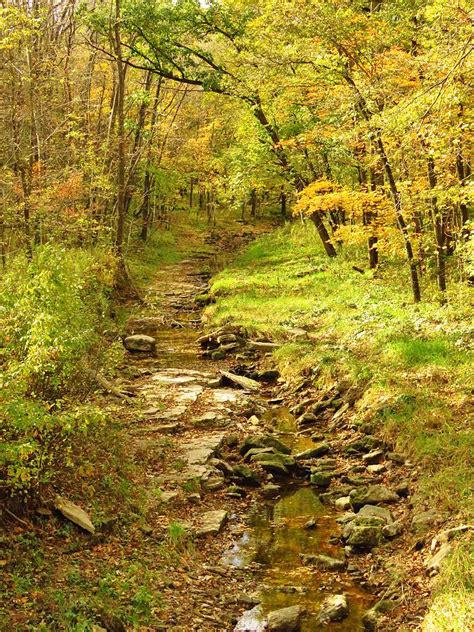 Autumn Pathways Photograph By Lori Frisch