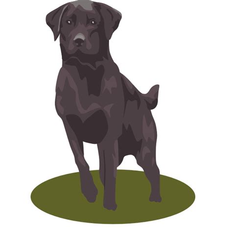 Black Labrador Headlabrador Silhouettedog Svg Files For Cricutdog