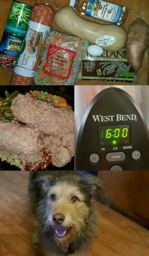 Frequent special offers and discounts up to 70% off for all products! A Guide to Buy the Best Dry Dog Food | Dog food recipes ...