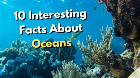 10 Interesting Facts About Oceans Youtube