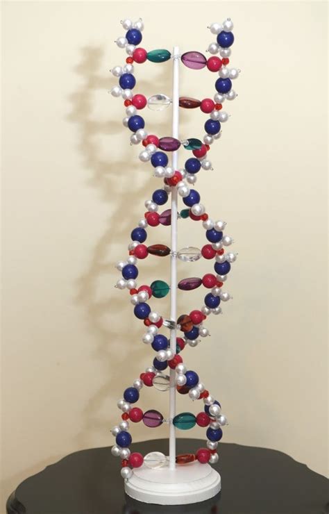 7 Cool 3d Model Of Dna Molecule