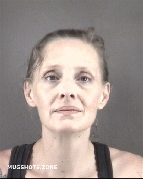 LEWIS STACI LYNN Forsyth County Mugshots Zone