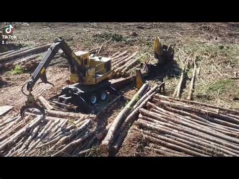 Eastern NC Logging Tigercat 250D YouTube