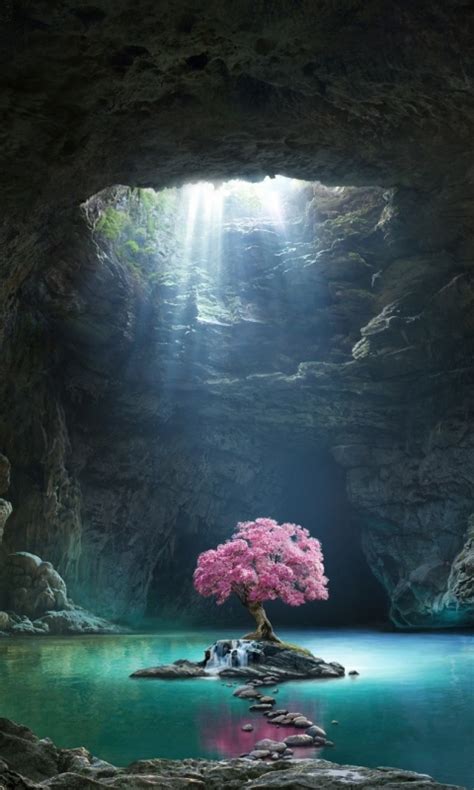 Download Wallpaper 480x800 Pink Tree Blossom Cave Lake Nature