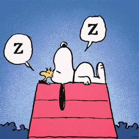 Sleepy Snoopy And Sleepy Woodstock Goodnight Snoopy Snoopy Snoopy Love