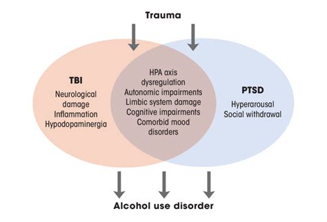 Overlapping Neurobehavioral Links Among Tbi Ptsd And Alcohol Use