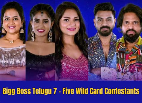 Bigg Boss Telugu 7 Five Wild Card Contestants
