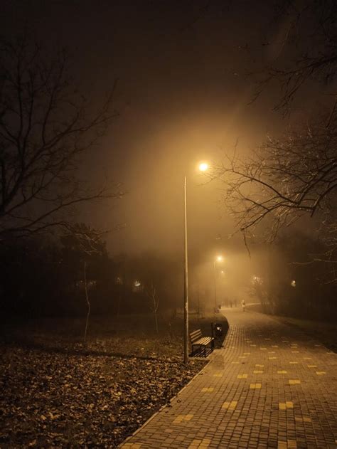 Misty Park At Night Rpics