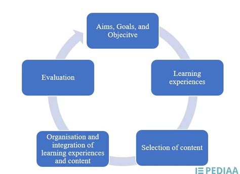 Component 3 Curriculum Experiences Components Of Curriculum And