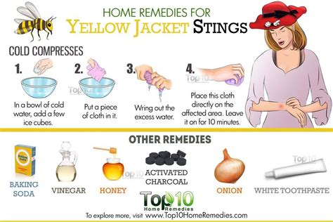 Home Remedies For Yellow Jacket Stings Top 10 Home Remedies Yellow