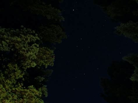 Download Wallpaper 1280x960 Night Trees Stars Starry Sky Standard 4