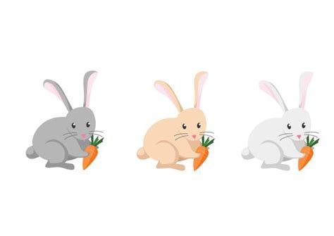 Best Rabbit Eating Carrot Cartoon Illustrations Royalty Free Vector Graphics And Clip Art Istock