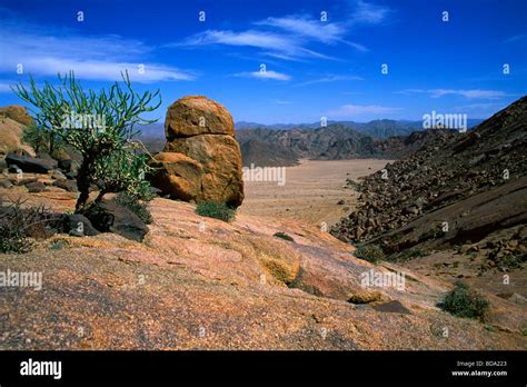 Desert Landscape In The Richtersveld National Park South Africa Stock