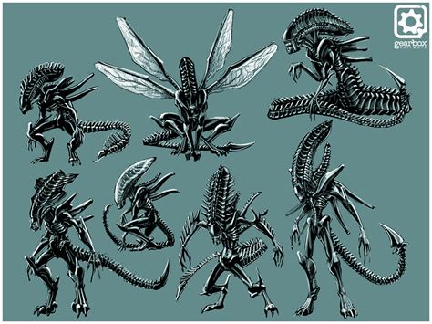 Kale Menges Xenomorph Concepts And Explorations Created For Aliens