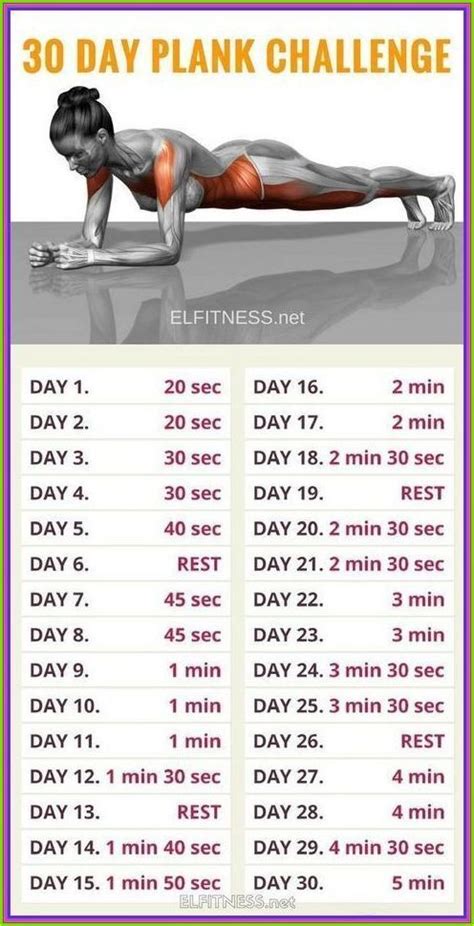 Fitness Workouts Yoga Fitness Easy Yoga Workouts Fitness Workout For