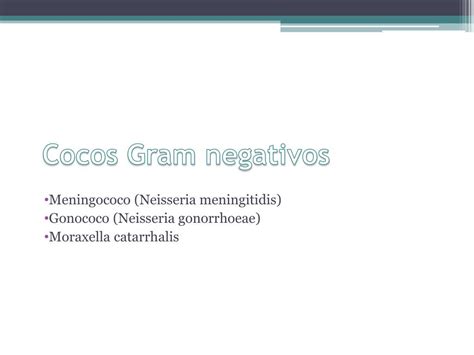 Ppt Cocos Gram Negativos Powerpoint Presentation Free Download Id