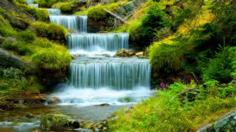Water Cascades In Green Forest Hd Wallpaper Background