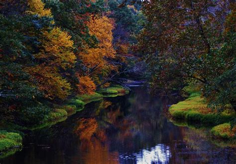 Autumn Paradise Photograph By Greg Kear Fine Art America