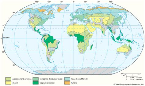 In fact all deserts and rainforests in 10 years it definitely will change if current trends in deforestation continue in tropical rainforests. tropical rainforest | Encyclopedia Britannica