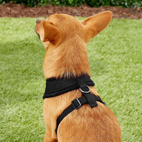 Puppia Soft Dog Harness Black Small