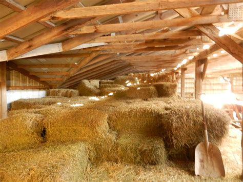 The Midlife Farmwife Barn Chitecture